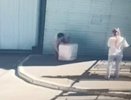 Нижегородская студентка отдала 100 000 долларов мошеннику ради спасения отца