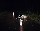 Две девушки разбились на скутере в Нижегородской области