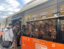 Озвучена зарплата водителей автобусов в Нижнем Новгороде
