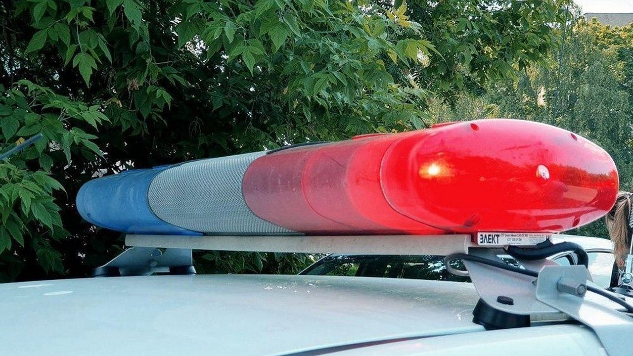 Главная картинка новости: Нижегородские полицейские задержали банду мигрантов-мошенников