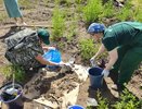 «Комунэнерго» причинило ущерб на 400 млн рублей почвам в Шатковском округе
