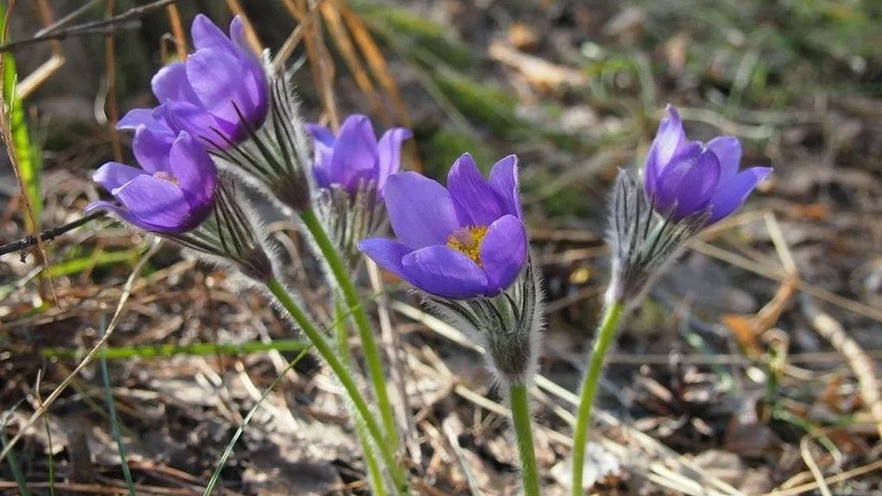 Главная картинка новости: Мокеева опровергла слухи об аномально жарком лете в Нижнем Новгороде