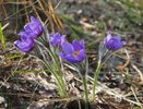 Мокеева опровергла слухи об аномально жарком лете в Нижнем Новгороде