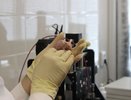 18 млн рублей гранта получили ученые ННГУ на разработку вакцины от рака