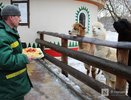 Составлена программа празднования Дня Победы в Нижнем Новгороде