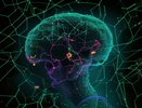 ВТБ разработал технологию для анализа эффективности банковских отделений