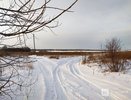 Проект дорог к участкам для многодетных на Бору отклонен Госэкспертизой
