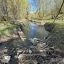 Нижегородский депутат Гриневич обеспокоена состоянием малых рек