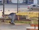 Пара публично занялась сексом на лавочке в Навашине