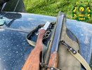 Нижегородца накажут за убийство кабана