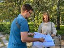 Более 100 аварийных деревьев вырубят на проспекте Гагарина для благоустройства