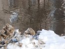 Водный ров образовался рядом со школой в Боталово-4 на Бору