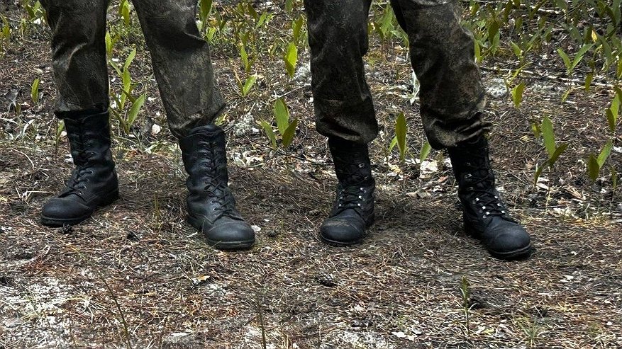 Главная картинка новости: Более 2 000 нижегородцев заберут в армию во время осеннего призыва