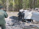 Установлен соучастник покушения на Прилепина в Нижегородской области