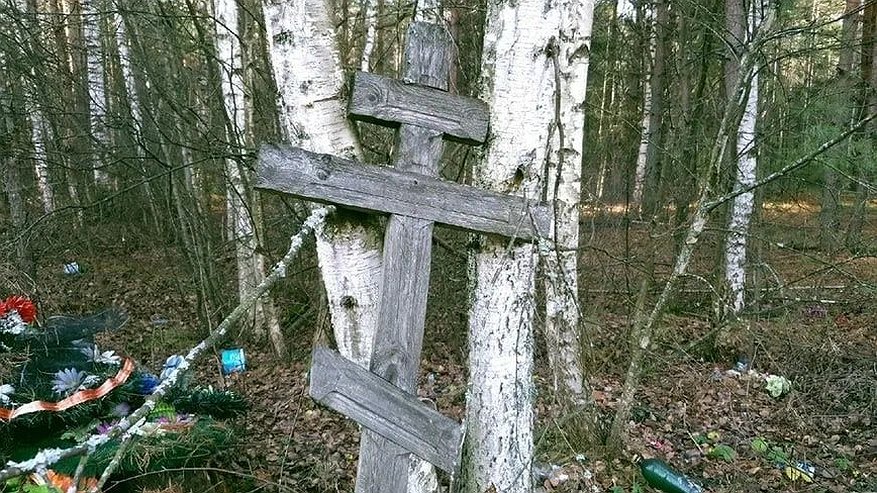 Главная картинка новости: Полиция завела три дела из-за кражи памятников на нижегородском кладбище