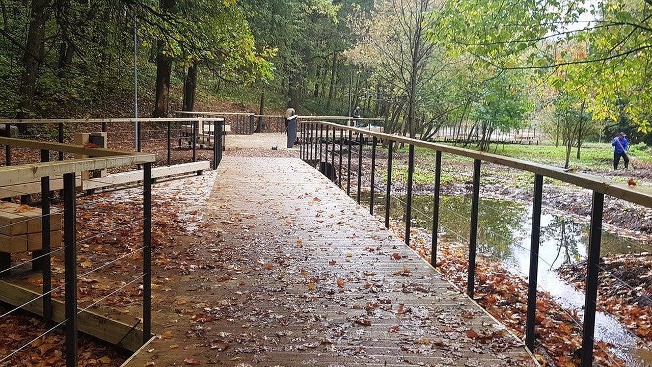 Главная картинка новости: Жителей Нижегородской области предупредили о сильном ветре 27 и 28 сентября