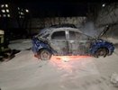 Две машины сгорели из-за крыс в Нижнем Новгороде