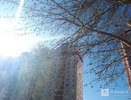 До +20°C обещают нижегородцам в последнюю неделю апреля