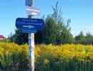 Базу отдыха за вспышку инфекции закрыли в Нижегородской области