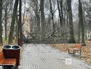 Около 40 деревьев упали из-за ураганного ветра в Нижнем Новгороде