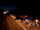 Два человека пострадали в ДТП с мотоциклом и лосем в Нижнем Новгороде