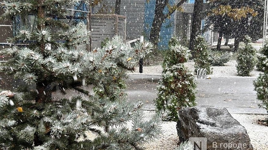 Главная картинка новости: Снег выпал в Нижнем Новгороде в апреле