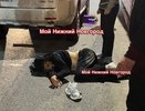 Land Rover сбил подростка на самокате в центре Нижнего Новгорода