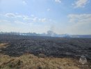 Еще два возгорания сухой травы произошли в Нижегородской области 20 апреля