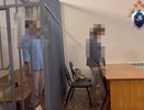 Нижегородку отправили под домашний арест за нападение ее собаки на мужчину