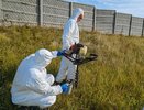 Шесть скотомогильников хотят ликвидировать в Нижегородской области в 2025 году