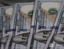 Мошенники заработали на нижегородцах почти 100 млн рублей за неделю