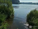 Активисты бьют тревогу из-за загрязнения реки в Нижегородской области