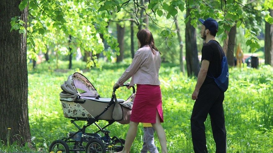 Главная картинка новости: Около 900 нижегородских многодетных семей получили землю и жилищные сертификаты