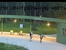 Два юных вандала сломали несколько камер в парке на Бору