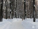Лютые морозы до -32°C обещают нижегородцам в январе