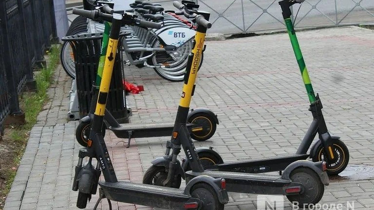 Главная картинка новости: Нижегородцы смогут жаловаться на самокатчиков боту ГАИ