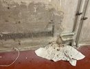 Батареи прорвало в многоэтажке на проспекте Циолковского в Дзержинске