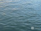 Тело человека достали из воды на Гребном канале в Нижнем Новгороде