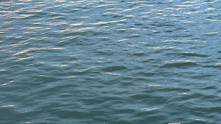 Главная картинка новости: Тело человека достали из воды на Гребном канале в Нижнем Новгороде