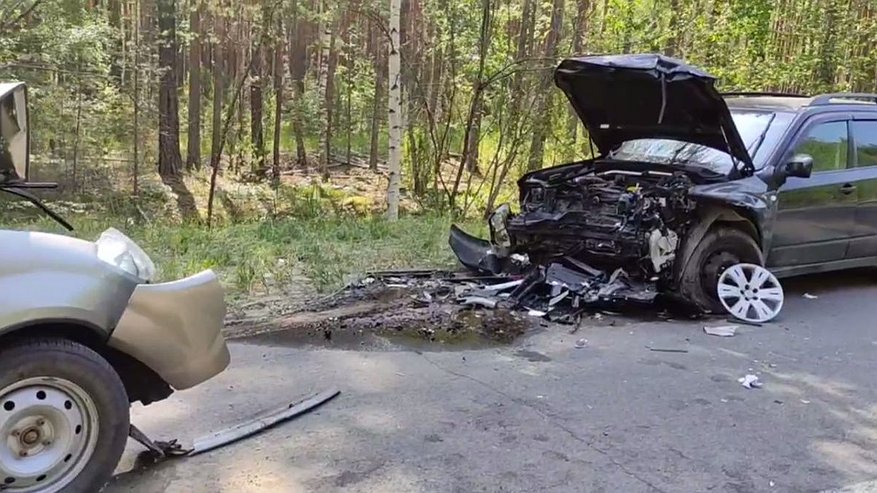 Главная картинка новости: Мужчина устроил жесткое ДТП в Нижегородской области из-за усталости