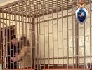 Нижегородка зверски убила ревнивого мужа в квартире на улице Тропинина
