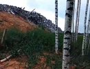 Нижегородцы пожаловались Бастрыкину на экологическую катастрофу в лесу