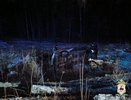 Появились подробности смертельного ДТП с подростками в Нижнем Новгороде
