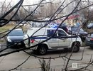 Разгром остановки в Нижнем Новгороде обернулся уголовным делом