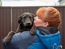 Щенкам из живодерни в Нижнем Новгороде начали искать новых хозяев
