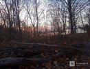 Лесной пожар на 3,5 гектарах в Володарском округе удалось локализовать