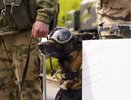 Выставка вооружения прошла в Парке Победы в Нижнем Новгороде