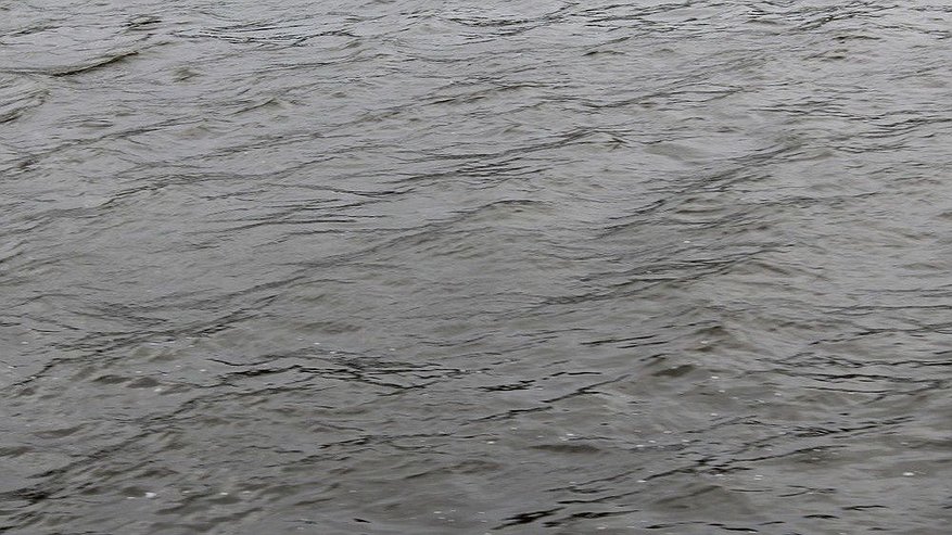 Главная картинка новости: Нижегородцам рассказали о водяных амебах, поедающих мозг человека