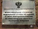 Собранный на субботнике мусор свалили в лесу в Нижегородской области