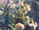 Власти готовятся к дождливой неделе в Нижнем Новгороде